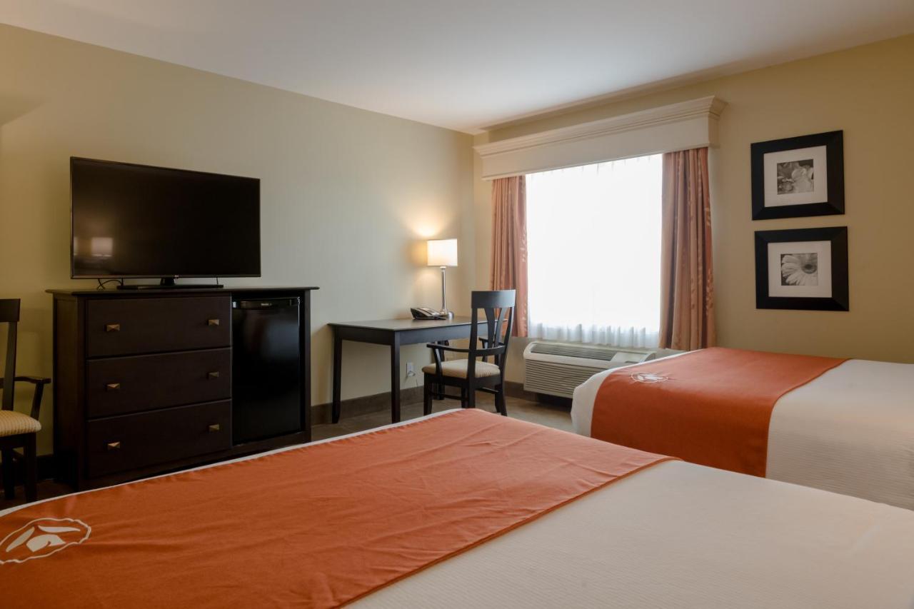 Amsterdam Inn & Suites Sussex Ngoại thất bức ảnh