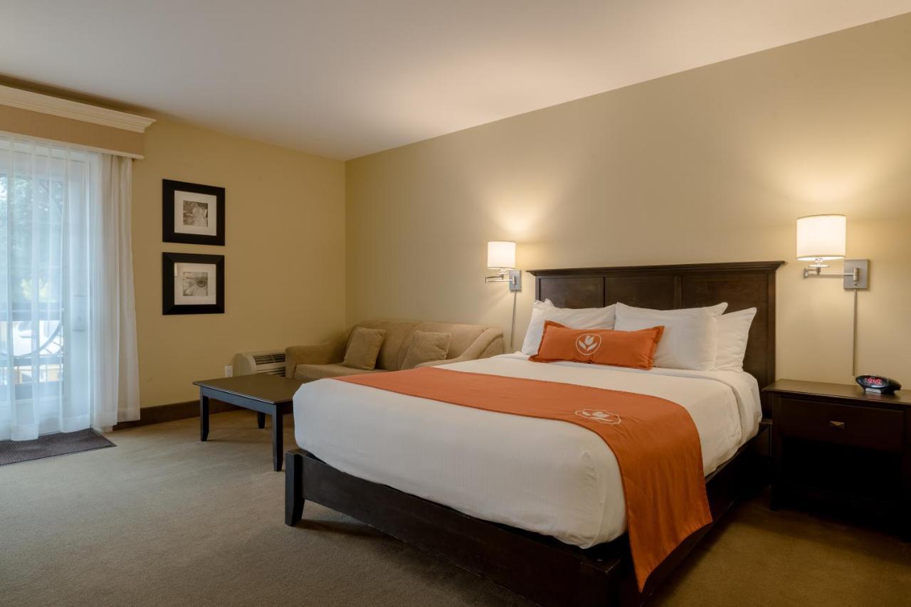 Amsterdam Inn & Suites Sussex Ngoại thất bức ảnh