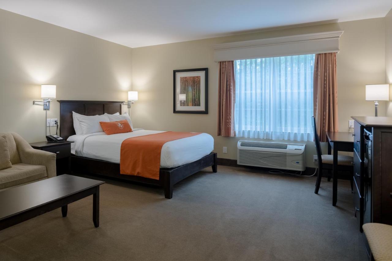 Amsterdam Inn & Suites Sussex Ngoại thất bức ảnh