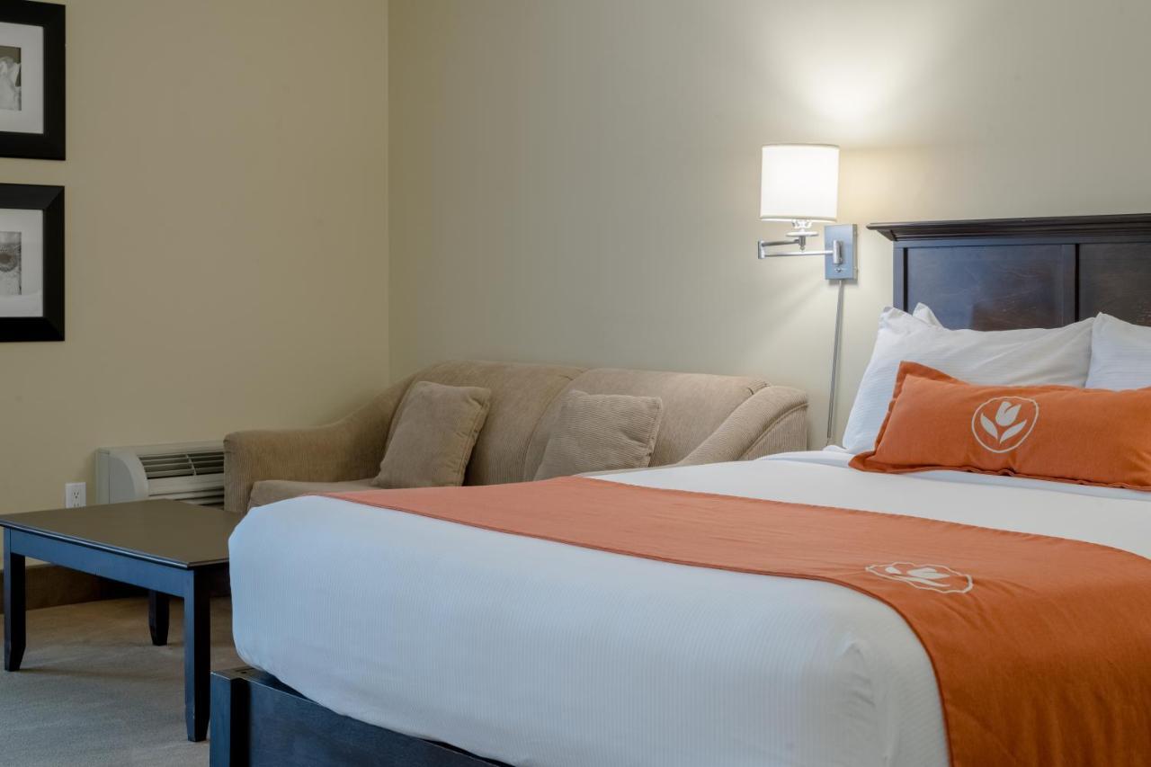 Amsterdam Inn & Suites Sussex Ngoại thất bức ảnh