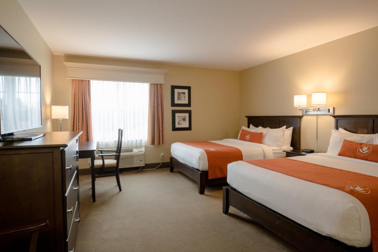 Amsterdam Inn & Suites Sussex Ngoại thất bức ảnh