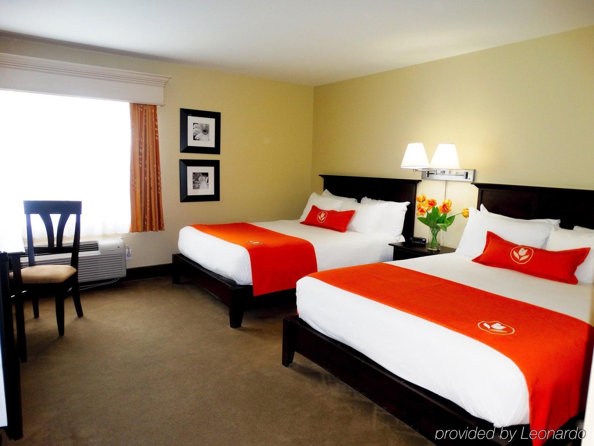 Amsterdam Inn & Suites Sussex Ngoại thất bức ảnh
