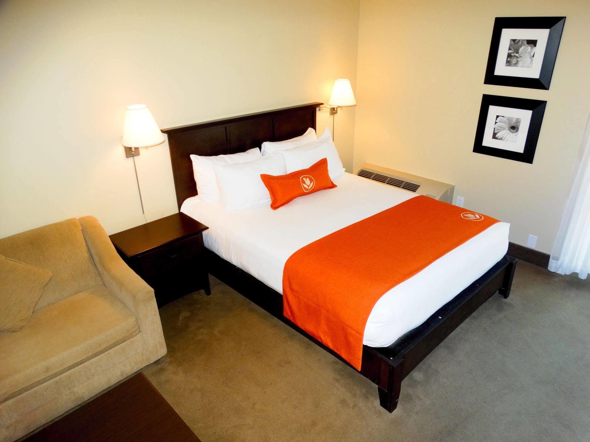 Amsterdam Inn & Suites Sussex Ngoại thất bức ảnh