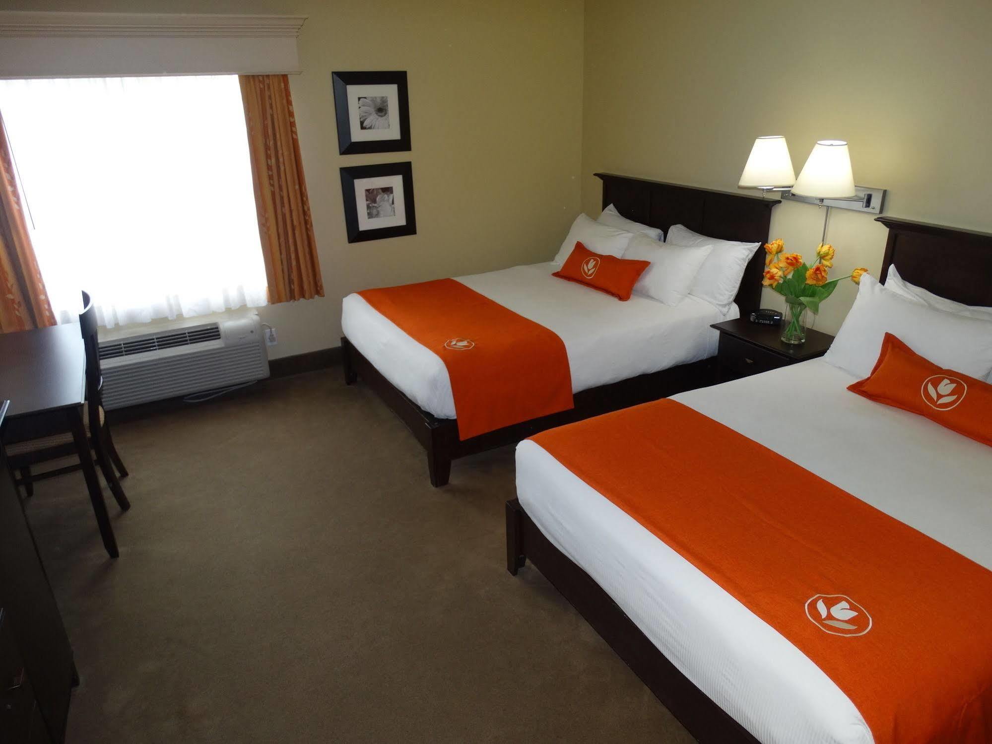 Amsterdam Inn & Suites Sussex Ngoại thất bức ảnh